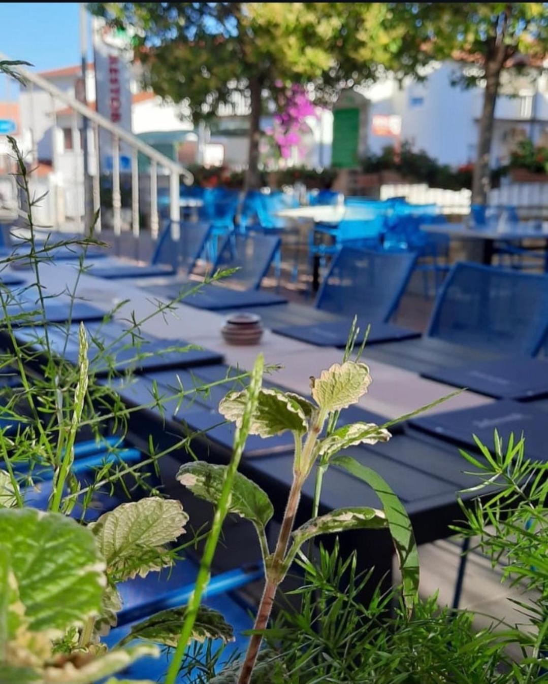 Apartments Ars Vivendi Trogir Eksteriør billede